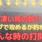 【外房ジギング】ナブラ打ちはトップだけじゃない‼️