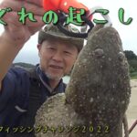 【サーフ釣り】釣れた魚をルアーで持ち上げると危険なことを知ろう。