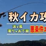 秋イカエギング攻略！波・濁り・向かい風・あて潮でイカは釣れる？サイトエギングのやり方とは