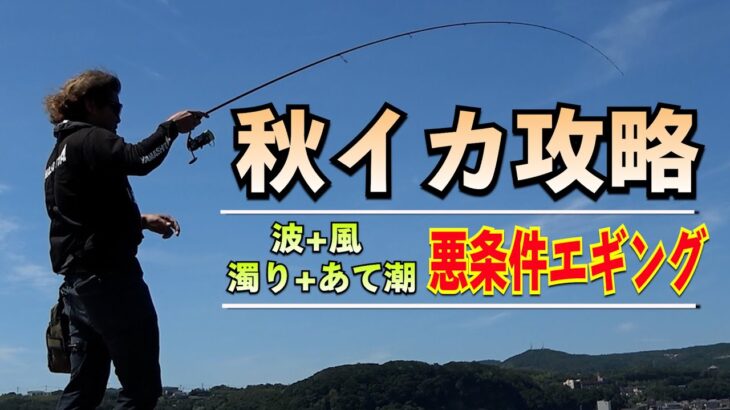 秋イカエギング攻略！波・濁り・向かい風・あて潮でイカは釣れる？サイトエギングのやり方とは