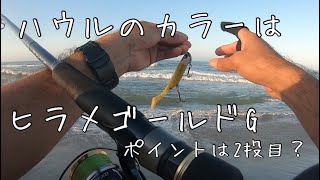 今回活躍したのはハウル(後編)