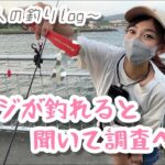 【飯岡漁港】アジが釣れる噂は本当か!?飯岡サビキは〇〇スキンが有効？～サビキ釣り～