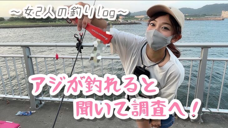 【飯岡漁港】アジが釣れる噂は本当か!?飯岡サビキは〇〇スキンが有効？～サビキ釣り～