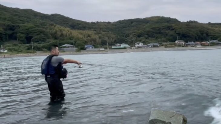 【実釣】釣れる秘密をバラしてしまった。(シーバス/ヒラメ)