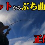 【エギング】イカが空を飛んだ次の瞬間「えっ！！なんだこれは！？」特別編