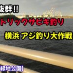 海釣り初心者にもオススメ!!延竿サビキ釣りで横浜のアジ釣り!!