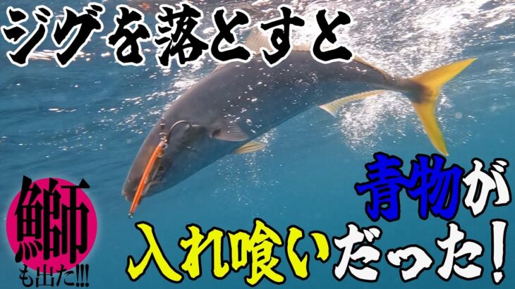 秋らしくなったので青物が釣れるか調査してみると…【丹後ジギング】