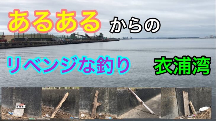 あるあるからのリベンジな釣り 衣浦湾