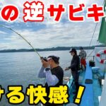 【アジ釣り】噂の『逆サビキ』即アワせでギガアジを釣る！ ｜東京湾・内房アジ釣り 〜上総湊 福丸～