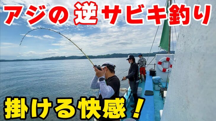 【アジ釣り】噂の『逆サビキ』即アワせでギガアジを釣る！ ｜東京湾・内房アジ釣り 〜上総湊 福丸～