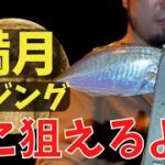 【アジング】満月でもアジは釣れる？中々釣れない時はここを狙ってみるのもありかも！夜の堤防で釣れる