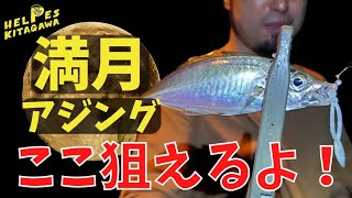 【アジング】満月でもアジは釣れる？中々釣れない時はここを狙ってみるのもありかも！夜の堤防で釣れる