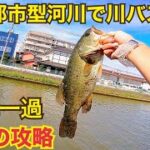 【激濁り】台風直後の川バス釣り【オカッパリ】ラバージグ