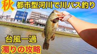 【激濁り】台風直後の川バス釣り【オカッパリ】ラバージグ