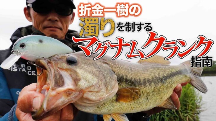 台風後の濁りを味方に！ 折金一樹のマグナムクランク指南　ルアマガプライムは旬の動画を毎月配信中！