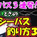 【シーバス３連発！】渋いときのシーバス釣り方３選！いかに○○○を攻略するか！？