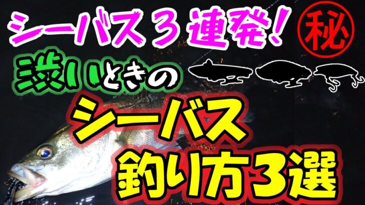 【シーバス３連発！】渋いときのシーバス釣り方３選！いかに○○○を攻略するか！？