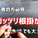 【エギング】根掛かり？大丈夫です！ぼっちの根掛かりの外し方