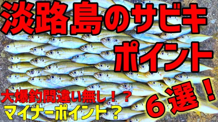 淡路島在住の釣り人が解説！【淡路島のサビキ釣りポイント６選】【淡路島釣り】