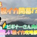 【秋イカ開幕!?】鹿児島はイカパラダイスでした