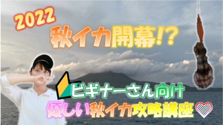 【秋イカ開幕!?】鹿児島はイカパラダイスでした