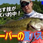 【ブラックバス】トップ・直リグ・中層ミドスト！・芹川ダムの夏バス攻略