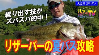 【ブラックバス】トップ・直リグ・中層ミドスト！・芹川ダムの夏バス攻略