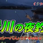 【熊本緑川の夜釣り】夜釣りのルアーでシーバスとぶっ込みでウナギを狙ってみた！