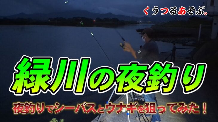 【熊本緑川の夜釣り】夜釣りのルアーでシーバスとぶっ込みでウナギを狙ってみた！