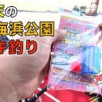 ８月末の若洲海浜公園でサビキ釣り！ダイソーサビキセットの実力は如何に！？ でも釣れる魚はやっぱりアレとアレ