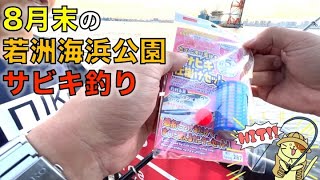 ８月末の若洲海浜公園でサビキ釣り！ダイソーサビキセットの実力は如何に！？ でも釣れる魚はやっぱりアレとアレ