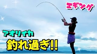 【エギング】エギのローテーションでアオリイカ爆釣!! 過去最高の釣果♡