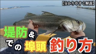 堤防や埠頭でのシーバス釣り‼︎　〜解説編〜