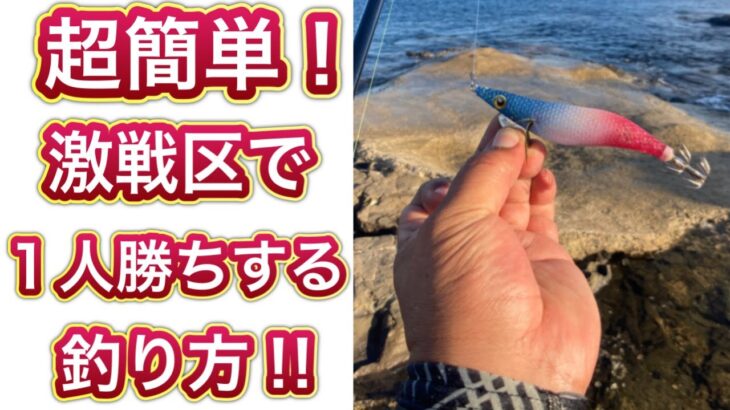 【エギング】初心者必見！イカのアタリが分かる釣り方‼︎