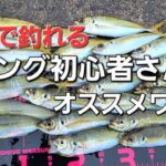 【アジング初心者必見】アジングワーム悩んだら？確実に釣果を残したいならこれが良い