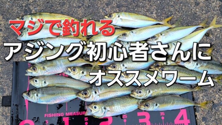 【アジング初心者必見】アジングワーム悩んだら？確実に釣果を残したいならこれが良い