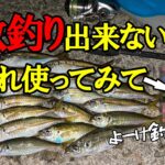 【アジング】数釣りしたいなら、これ絶対必要です！乱獲注意！