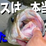 バスが減ったから釣れにくくなった→それって本当？