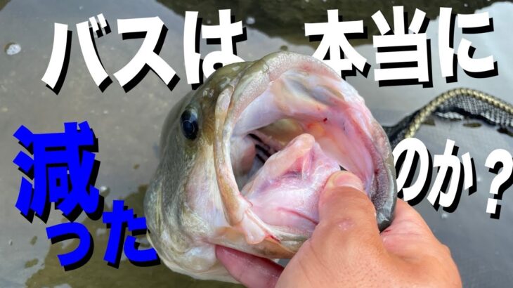 バスが減ったから釣れにくくなった→それって本当？