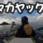 【カヤックフィッシング】スジアラやらタマンやら