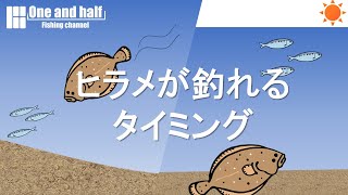 【初心者向け】サーフ　ヒラメが釣れるタイミング