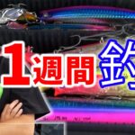 《1週間釣り生活》いきなりシーバスの巣窟を発見！？超重要な初日がスタート！