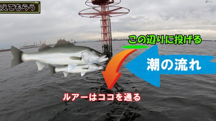 【初心者でも！】初のボートシーバス釣り！伊勢湾で最高の1日が待っていた！