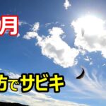 【いもっちです！】10月。堤防でサビキ釣り。～豆アジが入れ食い～