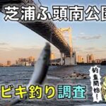 10月「芝浦ふ頭南公園」サビキ釣り調査｜レインボーブリッジ下の小さな公園で何が釣れるのか？