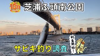 10月「芝浦ふ頭南公園」サビキ釣り調査｜レインボーブリッジ下の小さな公園で何が釣れるのか？