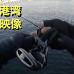 10月下旬の港湾部、シーバス狙いの動画です。