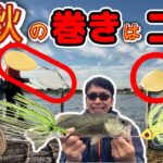 【バス釣り】霞_秋の巻物攻略法_〇〇で使い分け_10月中旬