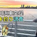 10月の検見川浜東突堤サビキ釣り｜東京湾奥でなかなか釣れないあの回遊魚がついに姿を現した！