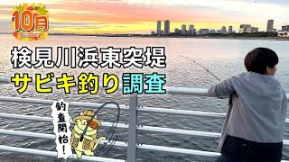 10月の検見川浜東突堤サビキ釣り｜東京湾奥でなかなか釣れないあの回遊魚がついに姿を現した！